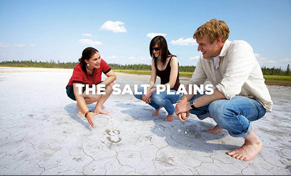 salt plains