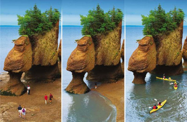 fundy sealevel