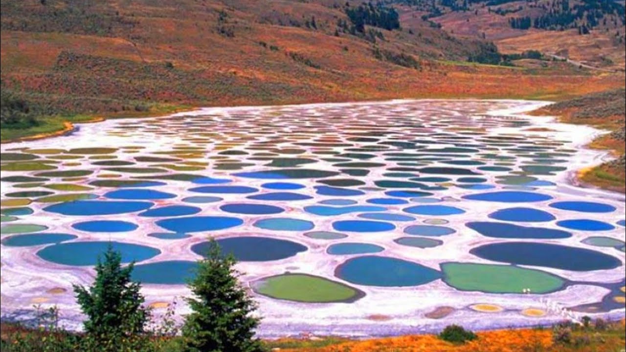 polka dot lake 5
