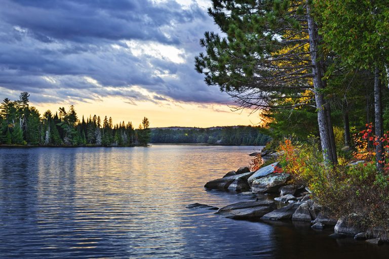 Algonquin Provincial Park – Nơi trải nghiệm vẻ đẹp nguyên sơ của thiên nhiên Canada