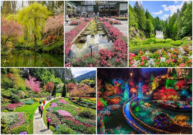 Butchart Gardens – Bản giao hưởng sắc hoa đẹp nhất Canada