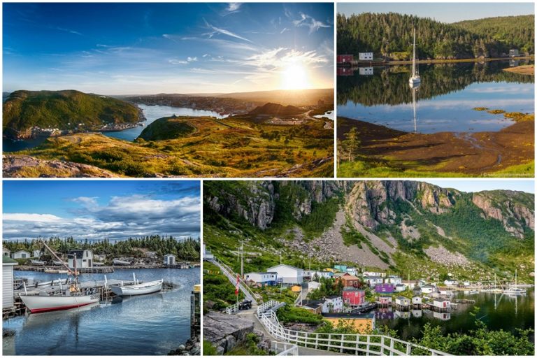 Đảo Newfoundland ở Canada – Vùng đất hoang sơ nơi Đại Tây Dương gặp những tảng băng trôi
