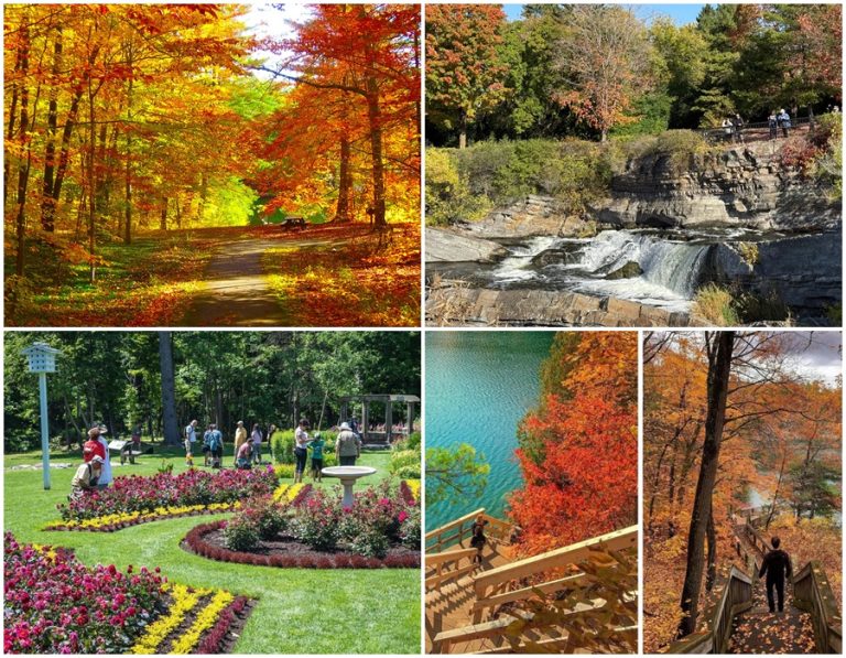 Gatineau Park – Thiên đường xanh cho những tâm hồn yêu khám phá