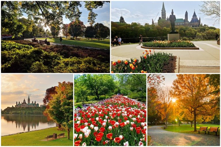 Major’s Hill Park – Khoảng xanh yên bình giữa lòng thủ đô Ottawa, Canada