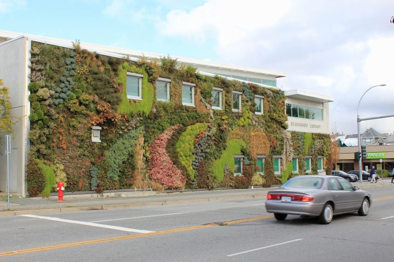 Green Over Grey – Mảng xanh độc đáo tô điểm thành phố Vancouver, Canada
