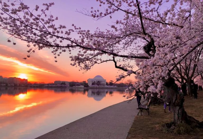 Hồ Tidal Basin – Nét duyên dịu dàng giữa không gian lịch sử Washington, Mỹ