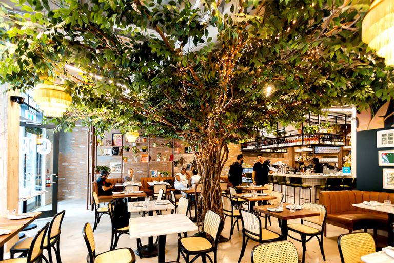 Những góc café đẹp nhất Toronto cho một mùa hè đầy cảm hứng