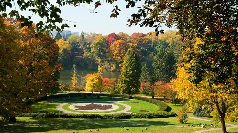 Những “ốc đảo xanh” giữa lòng Toronto, Canada