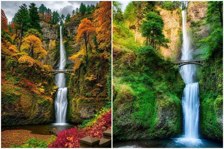 Thác Multnomah – Dải lụa trắng giữa đại ngàn nước Mỹ